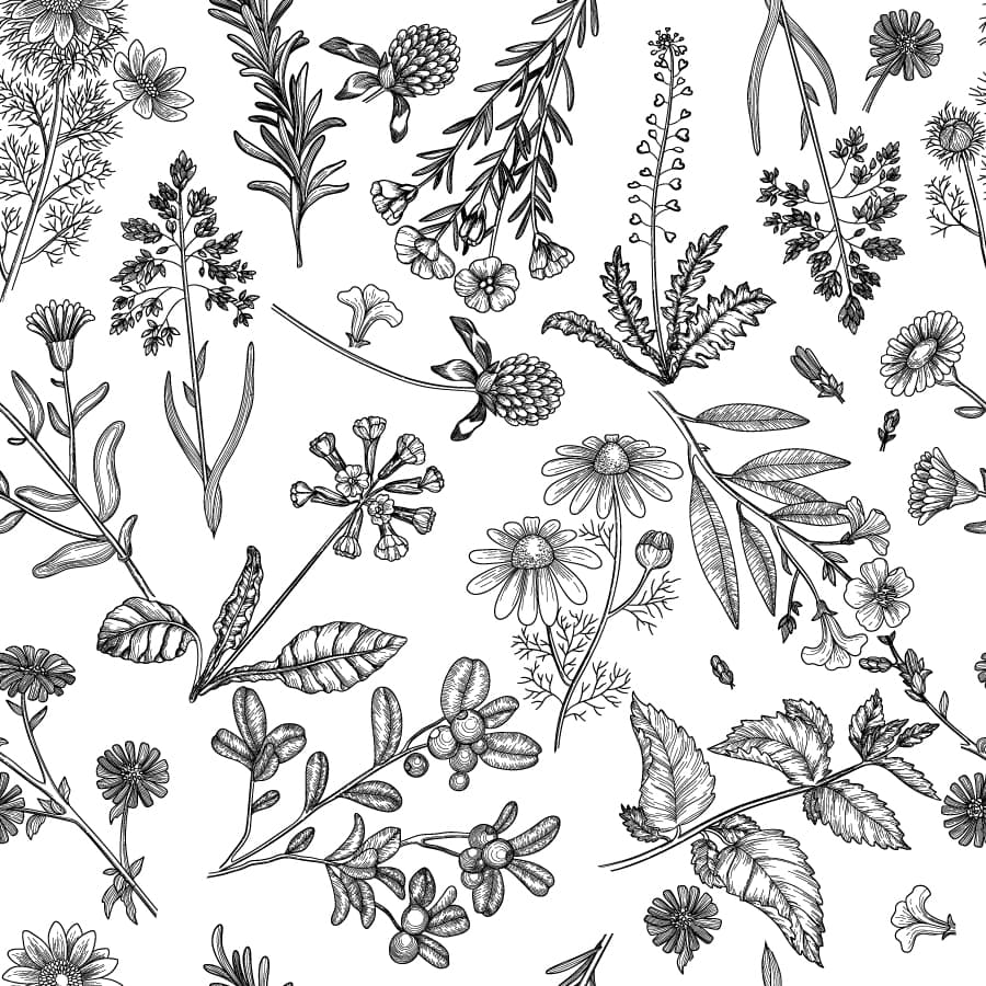 Herbs