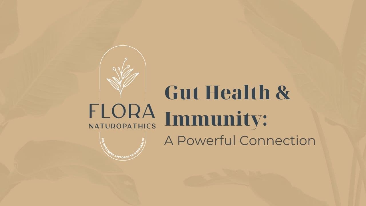 Gut Health & Immunity A Powerful Connection