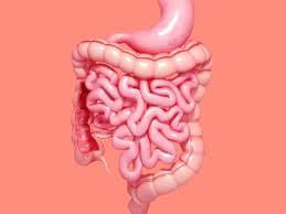 IBS