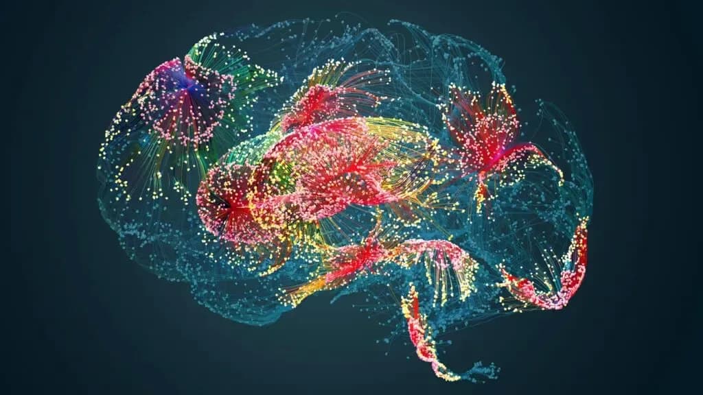 gut-brain axis