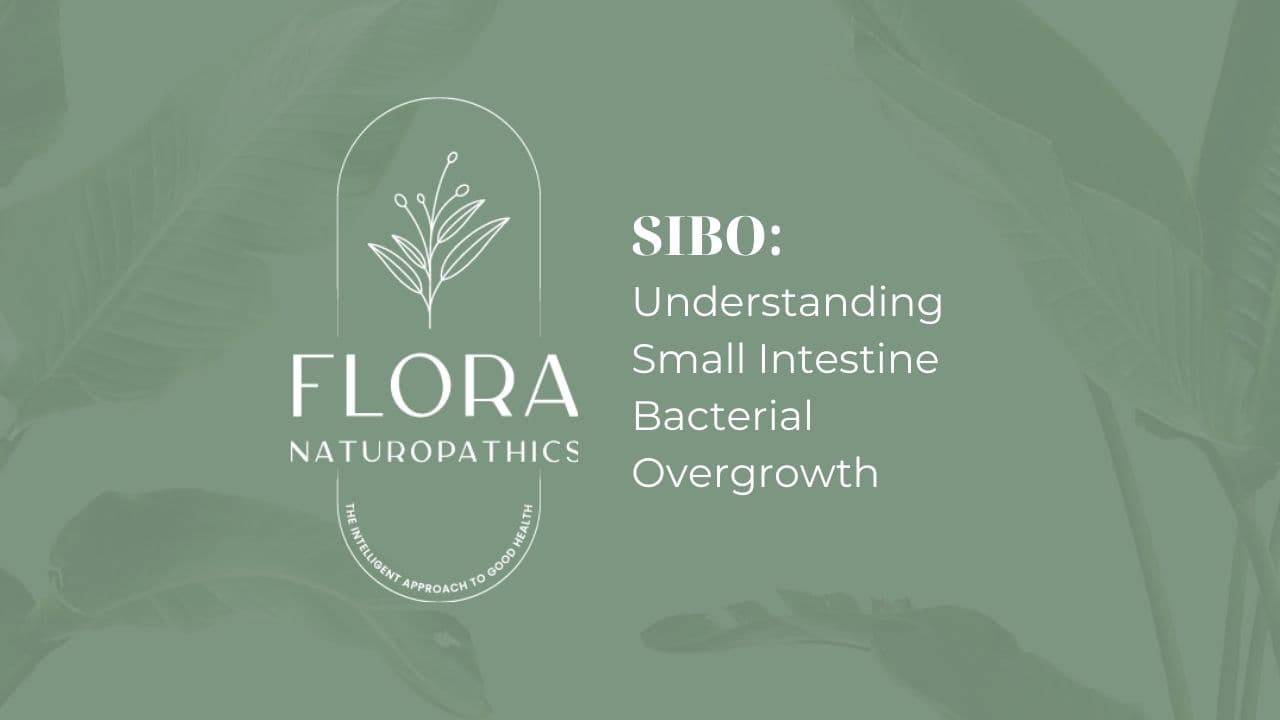 Flora Naturopathics banner: SIBO — Understanding Small Intestine Bacterial Overgrowth