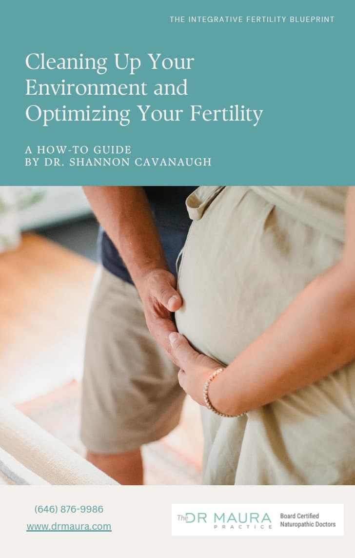 Cover of Cleaning Up Your Environment & Optimizing Your Fertility by Dr. Shannon Iselin.