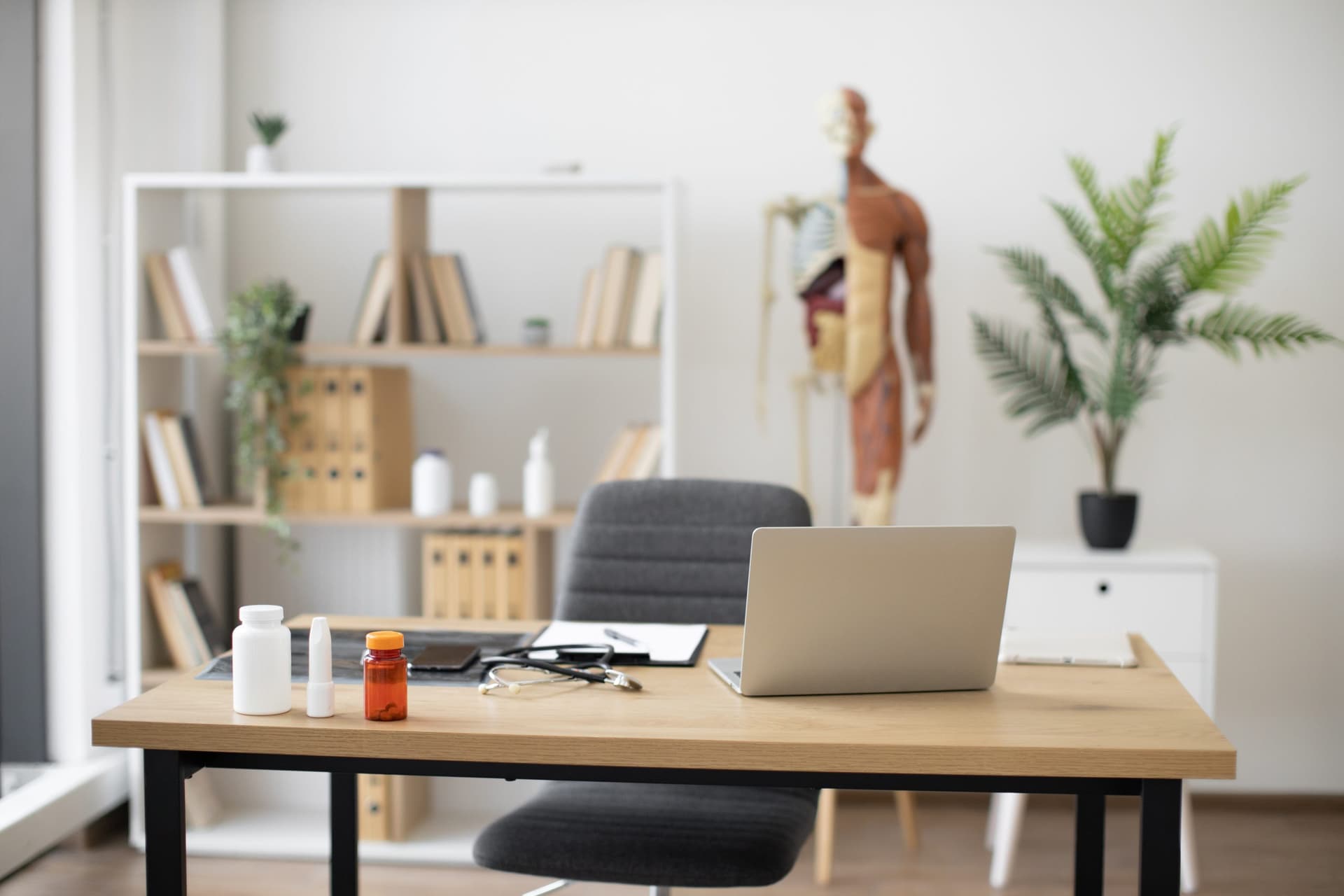 A calm doctor's office with a skeleton model.