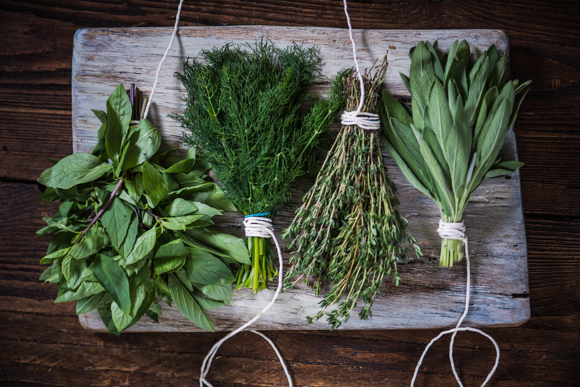 Basil,sage,dill,and thyme herbs