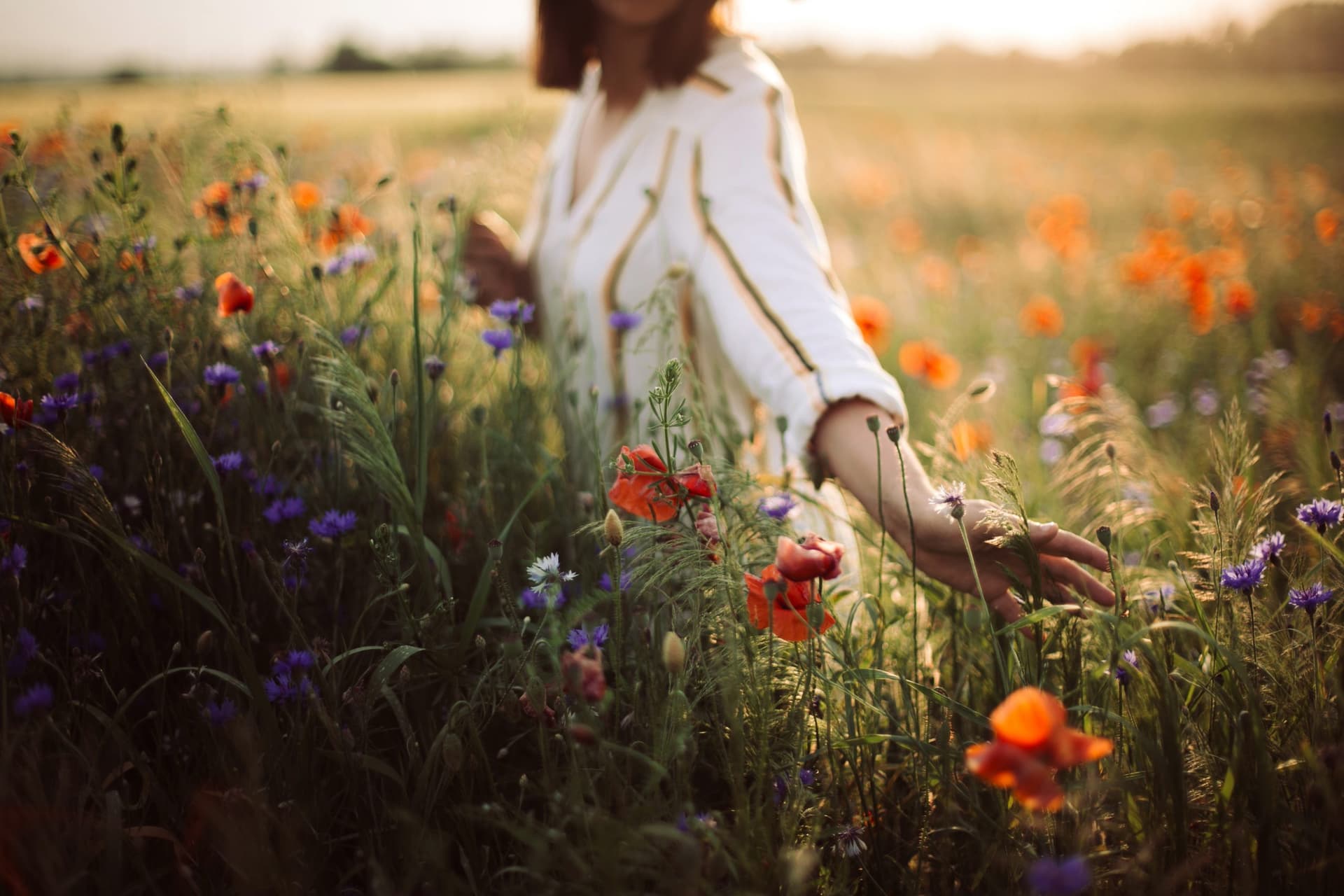 Stylish girl in hat walking in wildflowers in sunset light in su