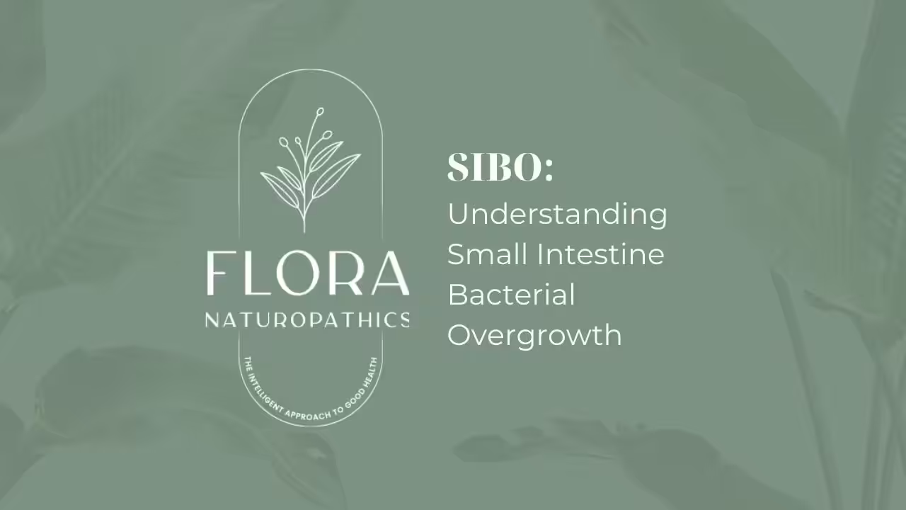 SIBO: Understanding Small Intestine Bacterial Overgrowth