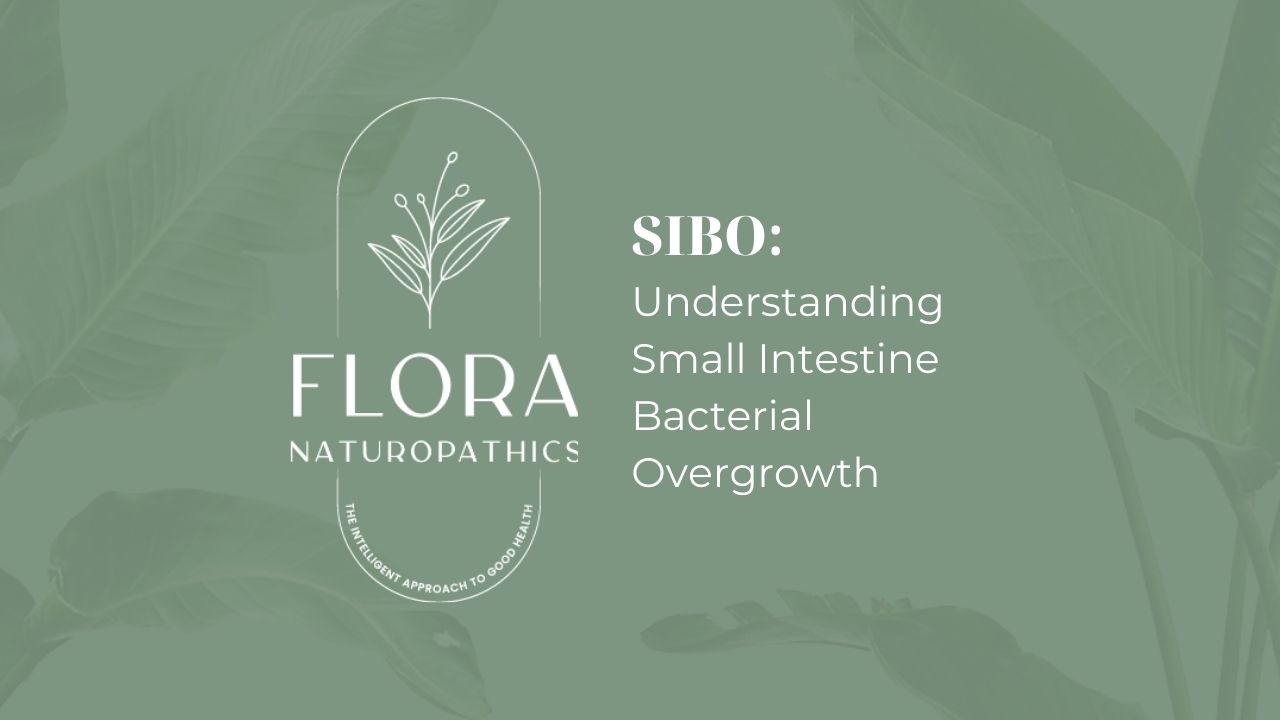 SIBO: Understanding Small Intestine Bacterial Overgrowth